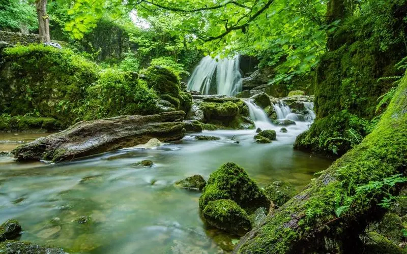 绿色绿色节能